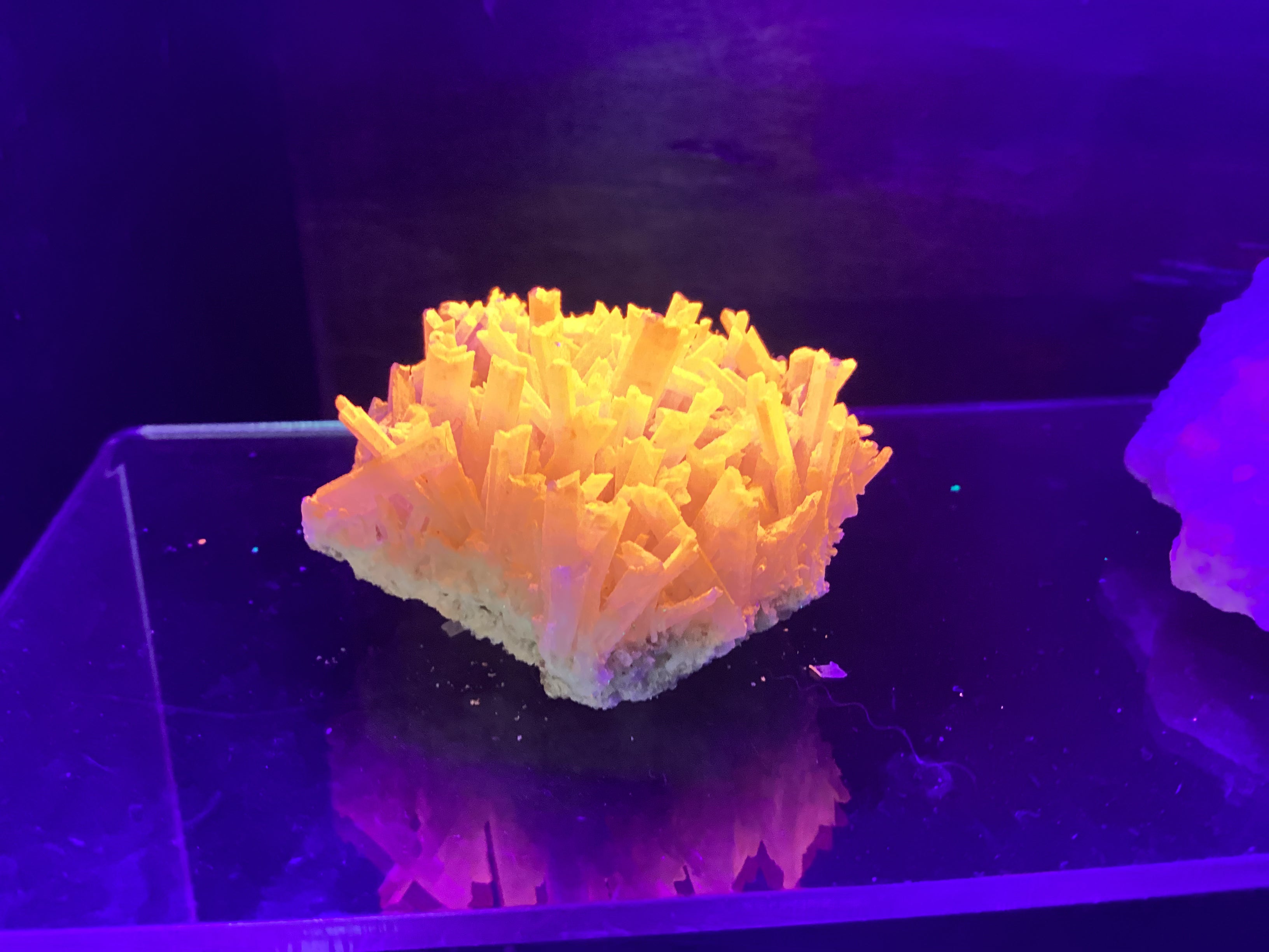 Mexican Gypsum UV Reactive