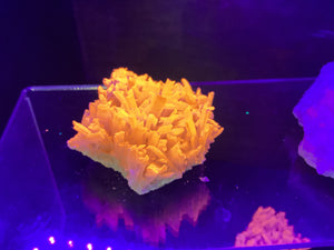 Mexican Gypsum UV Reactive